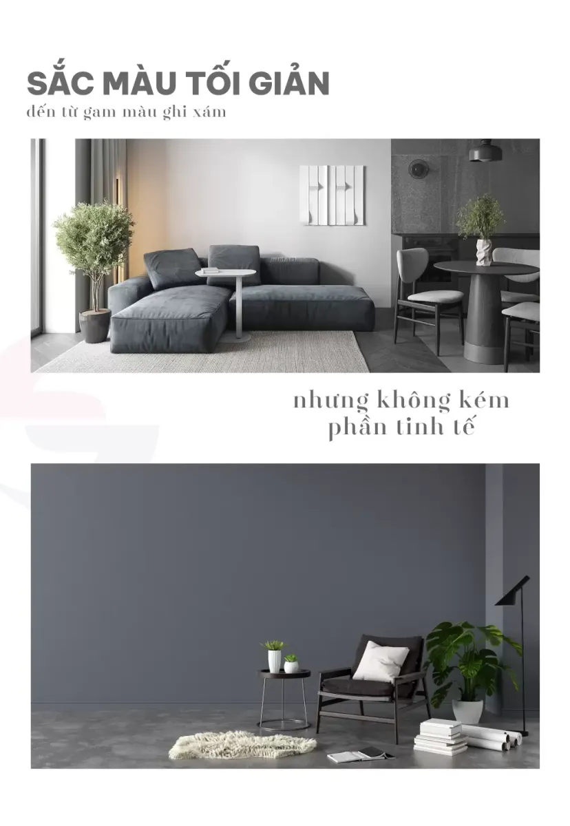 KHÁM PHÁ BỘ SƯU TẬP MÀU SẮC MỚI NHẤT - SIMPLE ELEGANT