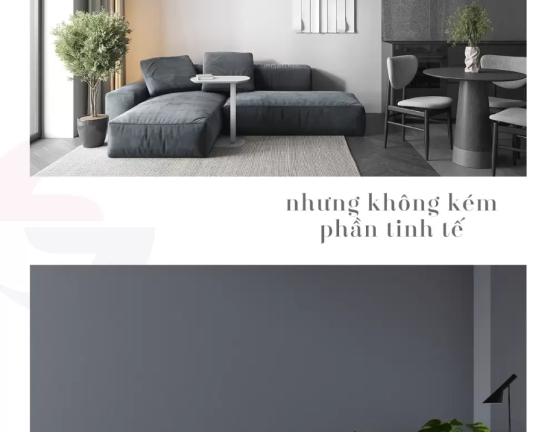 KHÁM PHÁ BỘ SƯU TẬP MÀU SẮC MỚI NHẤT - SIMPLE ELEGANT